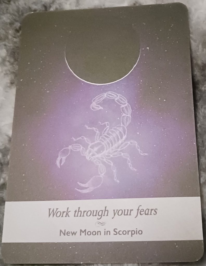 New Moon in Scorpio