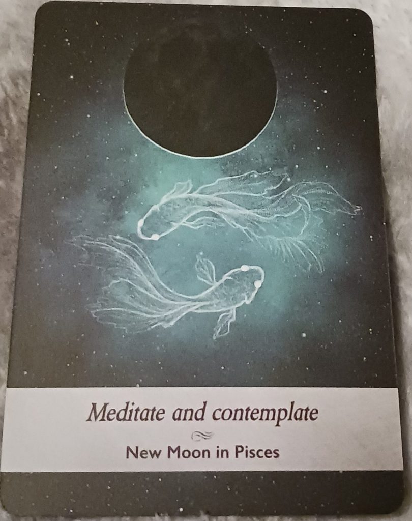 new moon in pisces